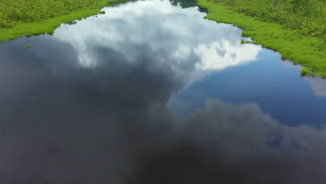 disparo cinematográfico de drones que comienza en el río amazonas y luego se inclina lentamente hacia arriba