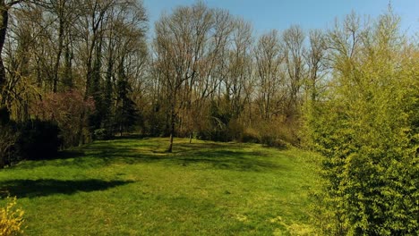 Aerial-shot-of-the-trees