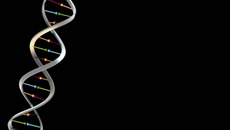 dna-sx metal color