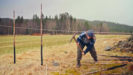 man putting wooden poles, building skigard (traditional norwegian fence) - wide shot