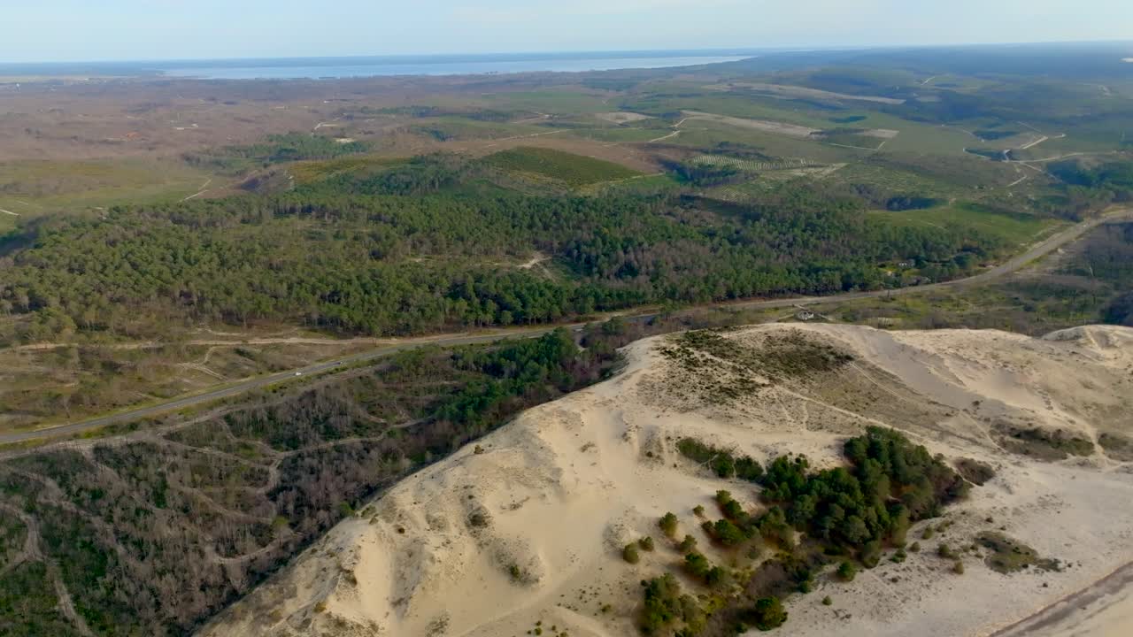 bosque de dunas y pinos filmado con un avión no tripulado