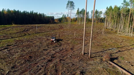 aerial drone backward moving shot of cleared forest by cutting down trees during evening time
