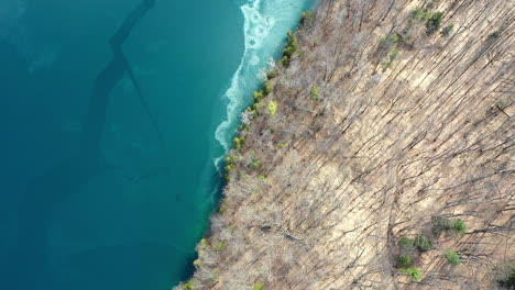 drone fly over blue lake with brown dead forest trees split in the middle panning movement