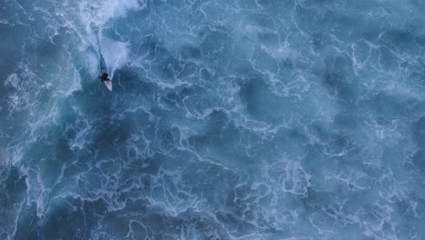 Top-down-of-sporty-young-surfer-man-with-surf-board-surfing-in-perfect-ocean-waves-at-Portugal,-aerial