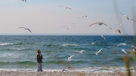 woman feeding seagulls on the beach