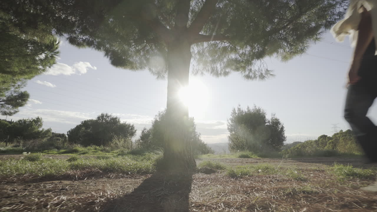햇빛 짐벌 샷 아래 영적으로 자연에서 해독하는 여자