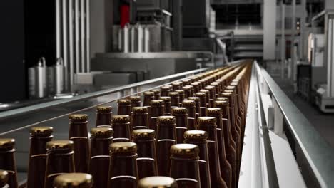 beer bottle production line in a modern brewery