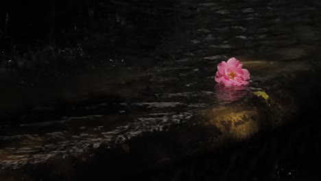 Flowers-in-fountain-on-wine-farm