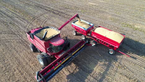 A-farmer-moves-harvested-soybeans-to-an-open-trailer