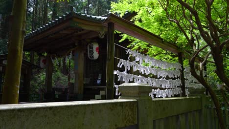 Beautiful slow motion cinematic push in toward shrine inside lush green forest