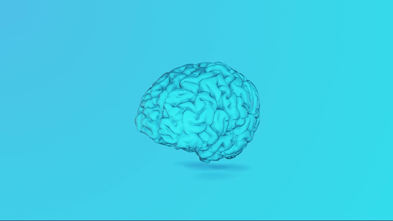 Human Brain 4k