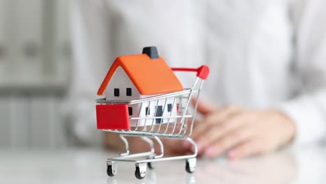 woman hand pushing grocery cart with toy house closeup 4k movie