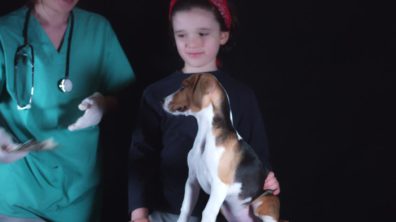 4k 비글 강아지 개와 그의 어린 주인과 함께 수의사에서