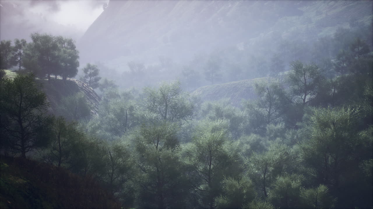 언덕으로 둘러싸인 푸른 숲 한가운데에 있는 하천의  ⁇