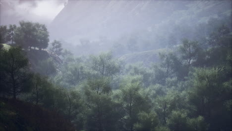 shot of a creek in the middle of green woods surrounded by hills