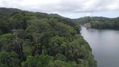 tropical rainforest at the copperlode falls dam near cairns in queensland, australia