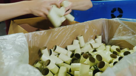 muchos corchos para botellas de vino el trabajo de la bodega