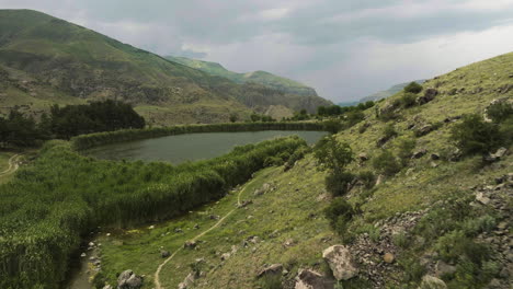 Hierba-Verde-Alta-Alrededor-Del-Lago-Tsundi-En-Verano-En-Tmogvi,-Georgia