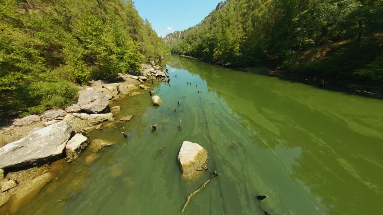 vista aérea, drones volando sobre un lago verde y cubierto de musgo con estacas y maderas saliendo de él, rodeado de árboles