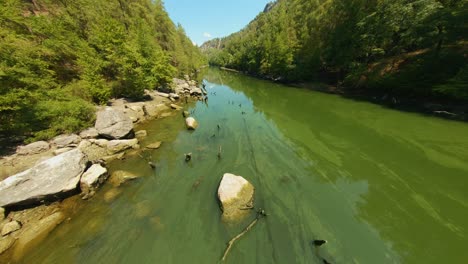 vista aerea, drone che vola sopra un lago verde e muschioso con pali e boschi che ne escono, circondato da alberi