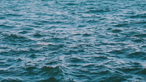 sea landscape at storm. blue sea waves at daytime. restless sea background. water texture. slow motion.