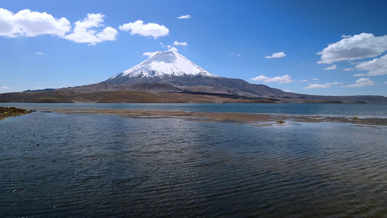 칠레 의 라우카 국립 공원 의 호수 식물 의 공중 사진 - 위 에서 아래 로 올라가는, 드론 촬영