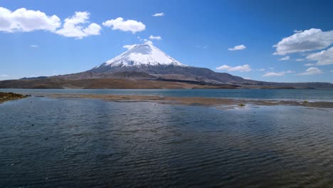 aerial view of lake vegetation, lauca national park in chile - rising top down, drone shot