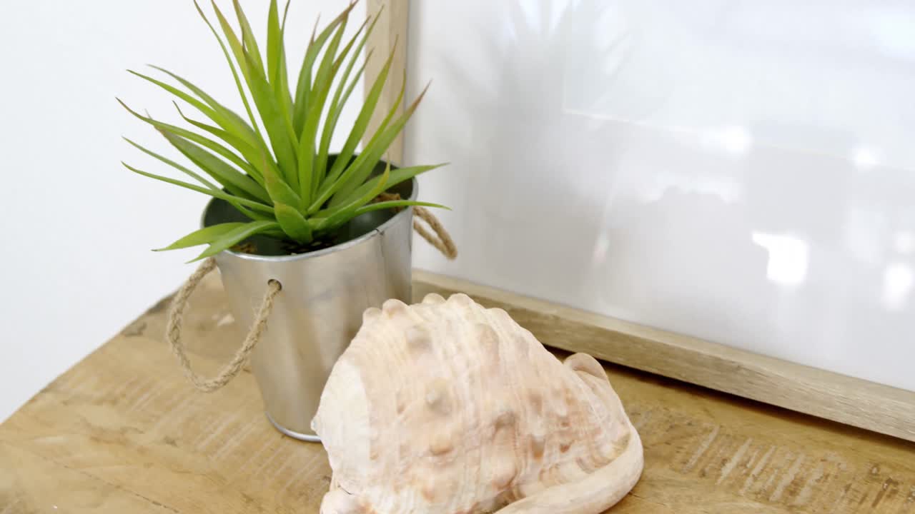 ⁇ 비 식물, 해골 및 테이블 4k에 검은 그림 프레임