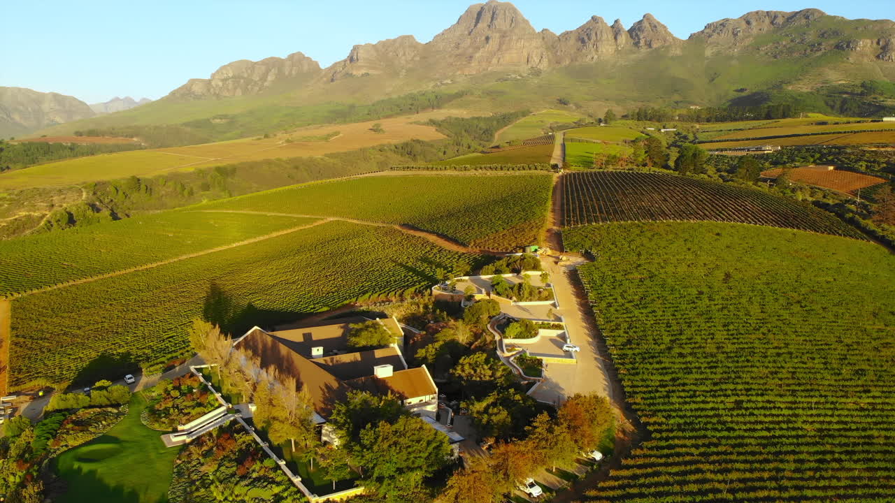 Aerial View of a Vineyard with Mountains