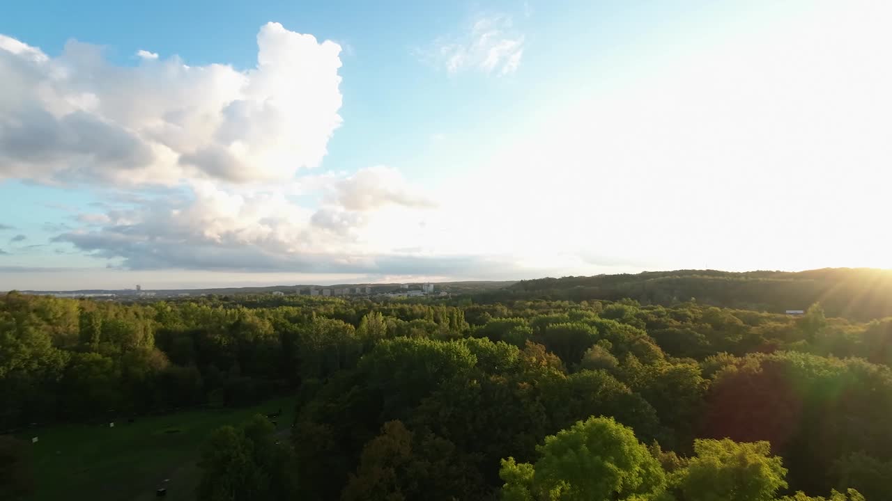 vuelo cinematográfico sobre el maravilloso paisaje forestal y el báltico.