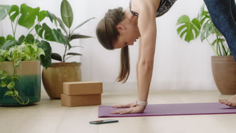 attractive yoga woman exercising healthy lifestyle practicing downward-facing dog pose enjoying workout at home training on exercise mat