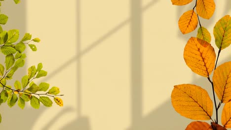 animación de hojas en ramas sobre sombras en pared beige