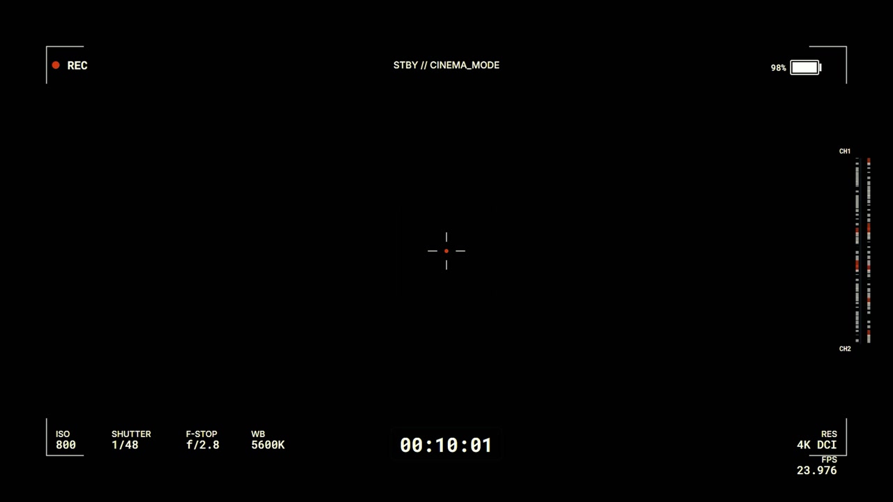 Digital Camera Viewfinder Overlay with Recording Interface