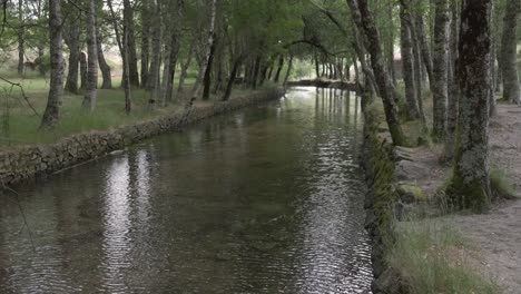 aguas tranquilas del río zezere, covao da ametade en serra da estrela, portugal