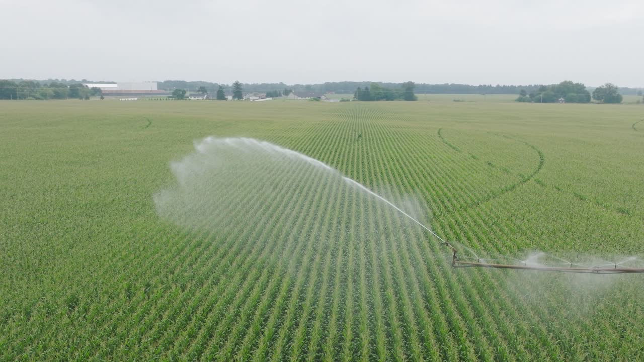 Drone view of pivot irrigation in corn field spraying water to the field.