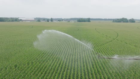 drone view of pivot irrigation in corn field spraying water to the field.