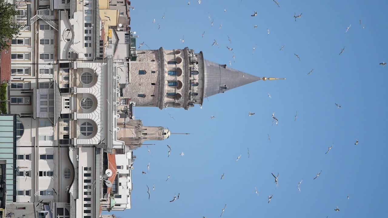 Galata Tower in Istanbul with Birds