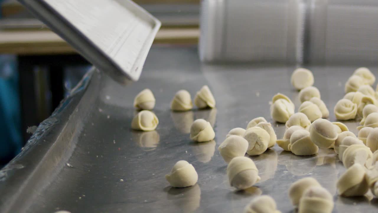 Dumpling Production Line