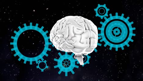 Human-brain-and-gears