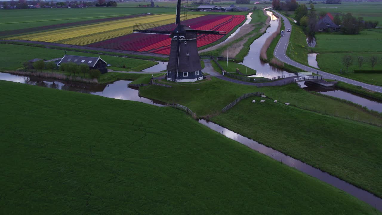 Vista aerea di Heerhugowaard con Veenhuizer, mulino a vento, tulipani, che mostra un paesaggio rurale aperto nei Paesi Bassi