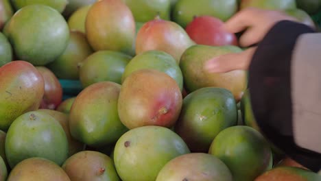 mangos frescos en un mercado