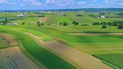 An-Aerial-Traveling-View-of-Corn-Fields-and-Harvesting-Crops,-with-Patches-of-Color-on-a-Beautiful-Summer-Day