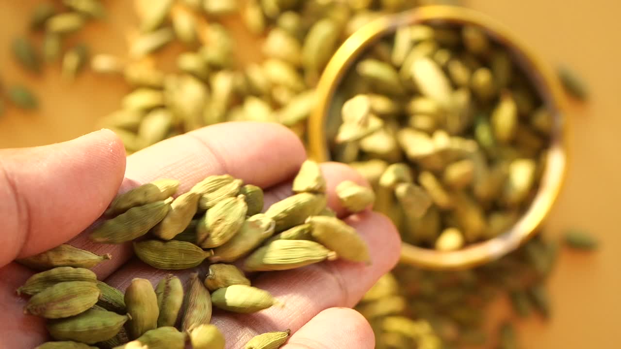 한 손가락의 녹색 카다몬 씨