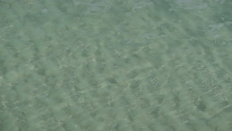 Super-clear-water-wave-rolling-onto-shore,-ripple-pattern-in-sand