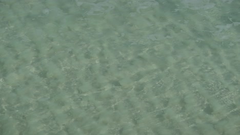 super clear water wave rolling onto shore, ripple pattern in sand