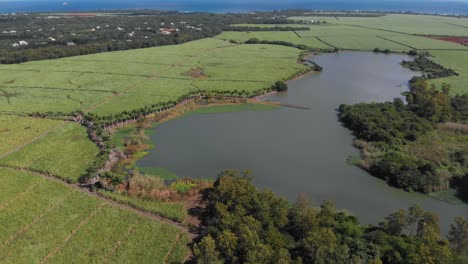 Aerial-4K-shot-of-Lake-with-sea-in-the-background-and-blue-skies-with-fluffy-clouds,-Balaclava,-Mauritius