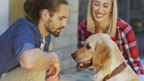 close up view of smiled young couple on the street talking and petting with a labrador dog on a sunny day