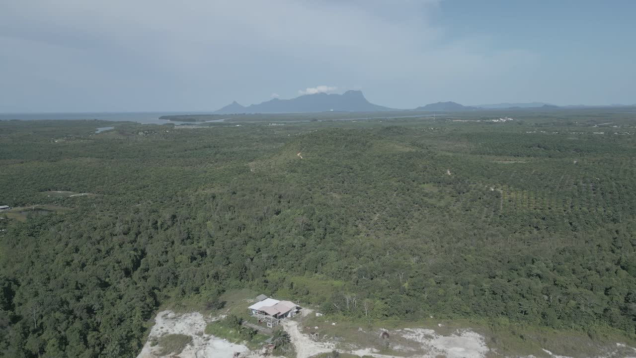 Splendida vista aerea da drone sull'autostrada Matang Fac. Questa strada porta alla strada costiera di Sempadi, di fronte alla foresta verde e al monte Serapi Kuching, Borneo