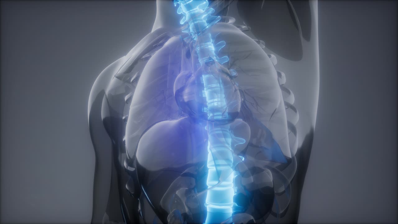 dolor de espalda en los huesos de la espalda