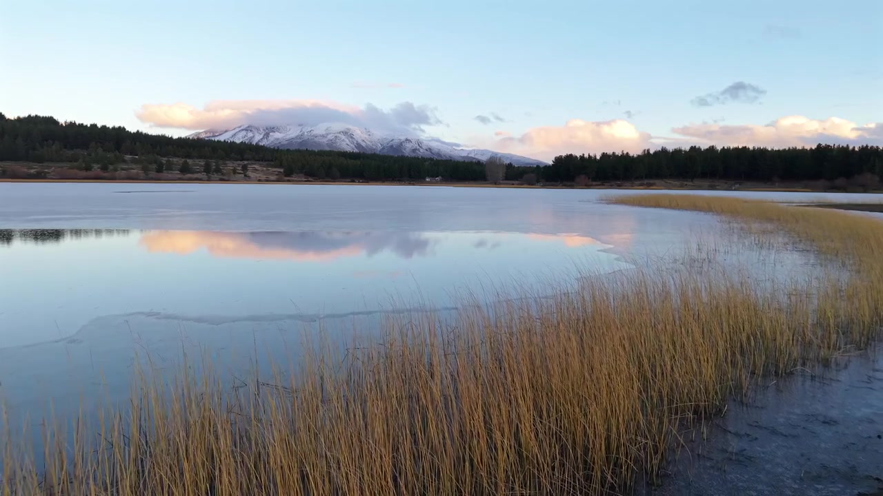 Frusna vassrör vid stranden av Laguna La Zeta, närmar sig tät skog och snötäckta toppar. Svepande flygning på låg höjd över landskapet.